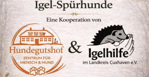 limit_1240x646_0a885f26-2bb3-4689-ba3d-723535d1a42b